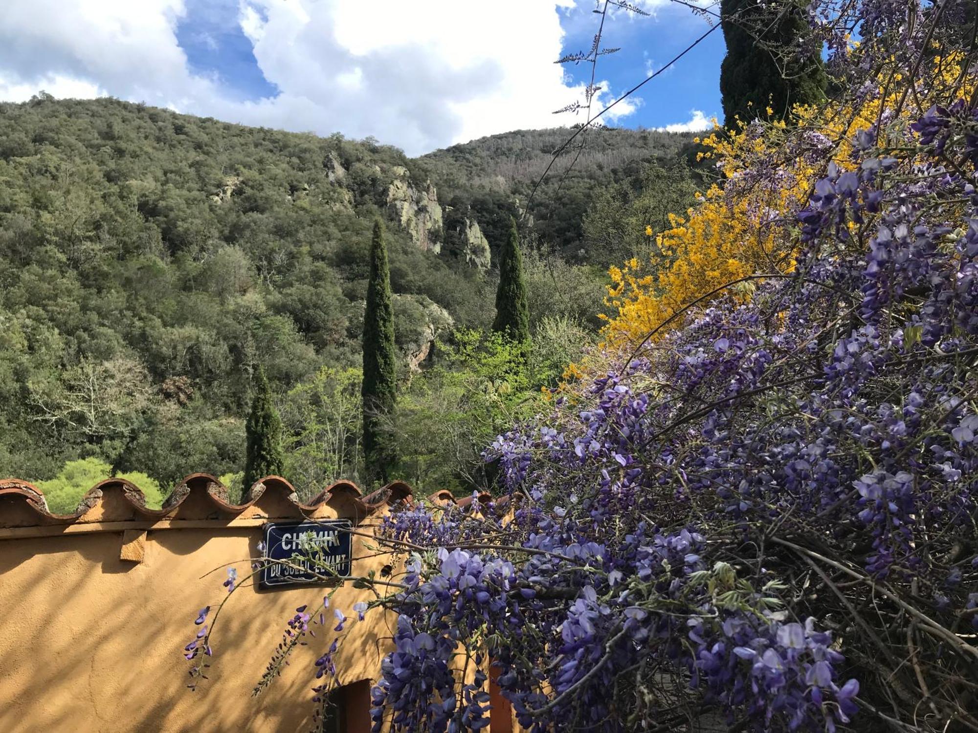 El Refugio Villa Reynès Dış mekan fotoğraf