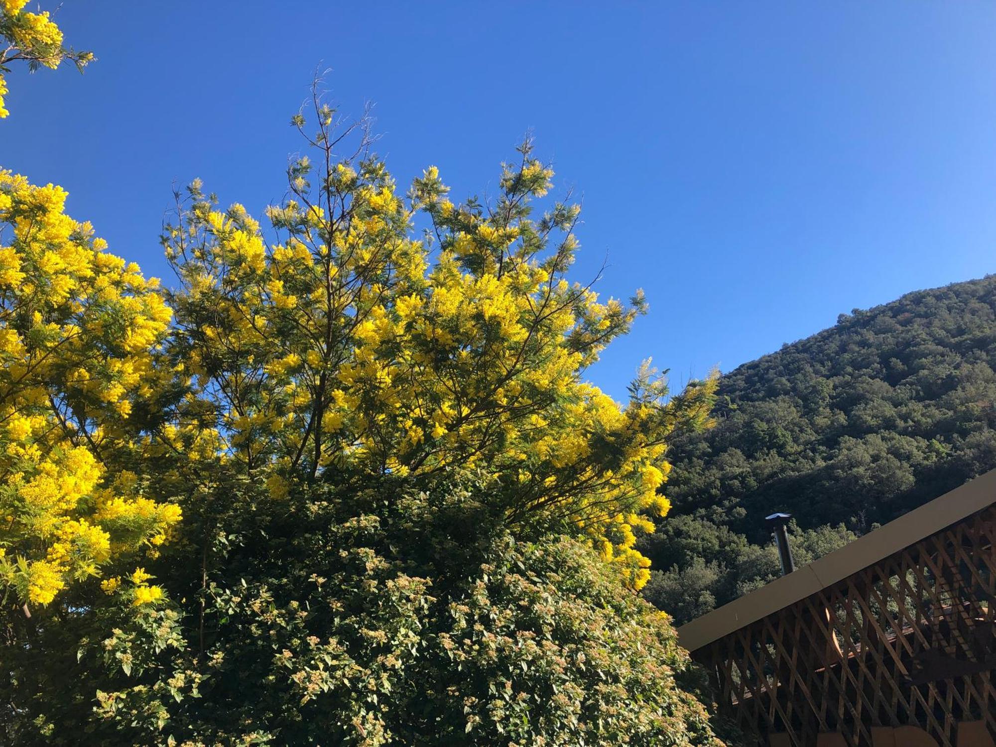 El Refugio Villa Reynès Dış mekan fotoğraf